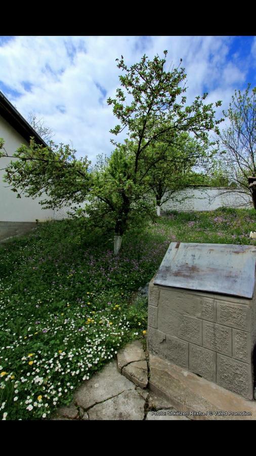 Bujtina Zhaveli Bed and Breakfast Gjakova Eksteriør billede